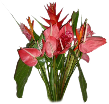 petite-Fleur-de-Madinina 